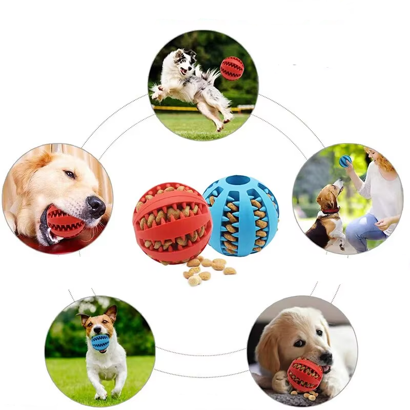Balle Distributrice de friandises pour chien - Jeu et dentition