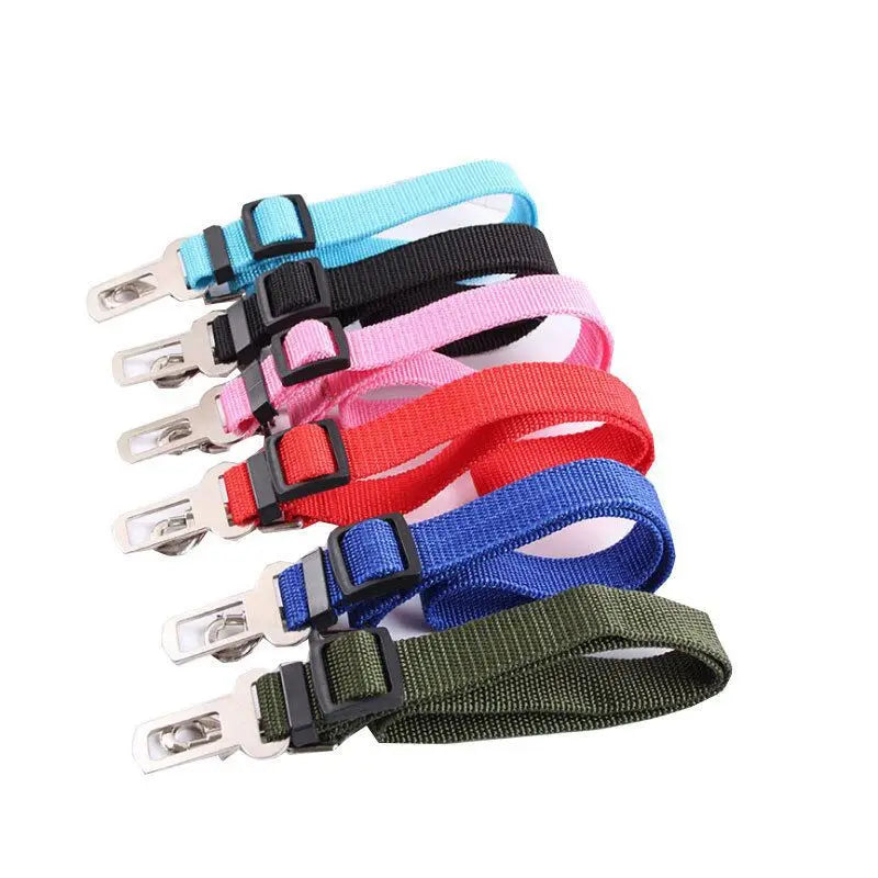 Ceinture de sécurité voiture pour chien - Confort et maintien