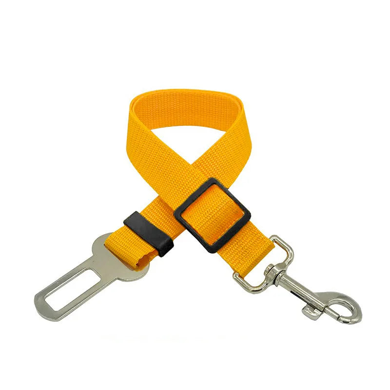 Ceinture de sécurité voiture pour chien - Confort et maintien
