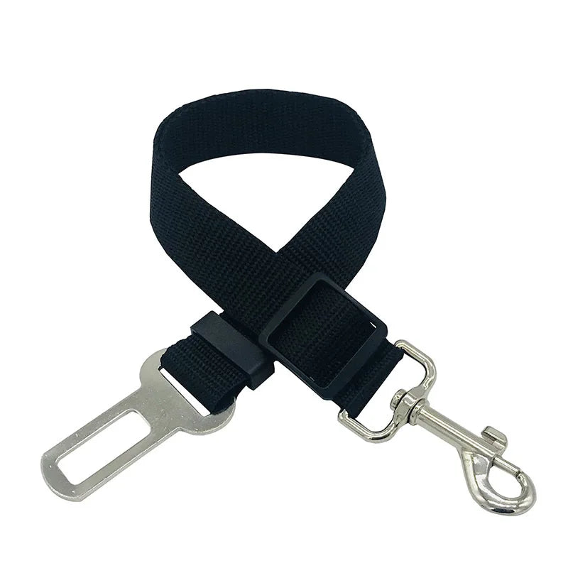 Ceinture de sécurité voiture pour chien - Confort et maintien