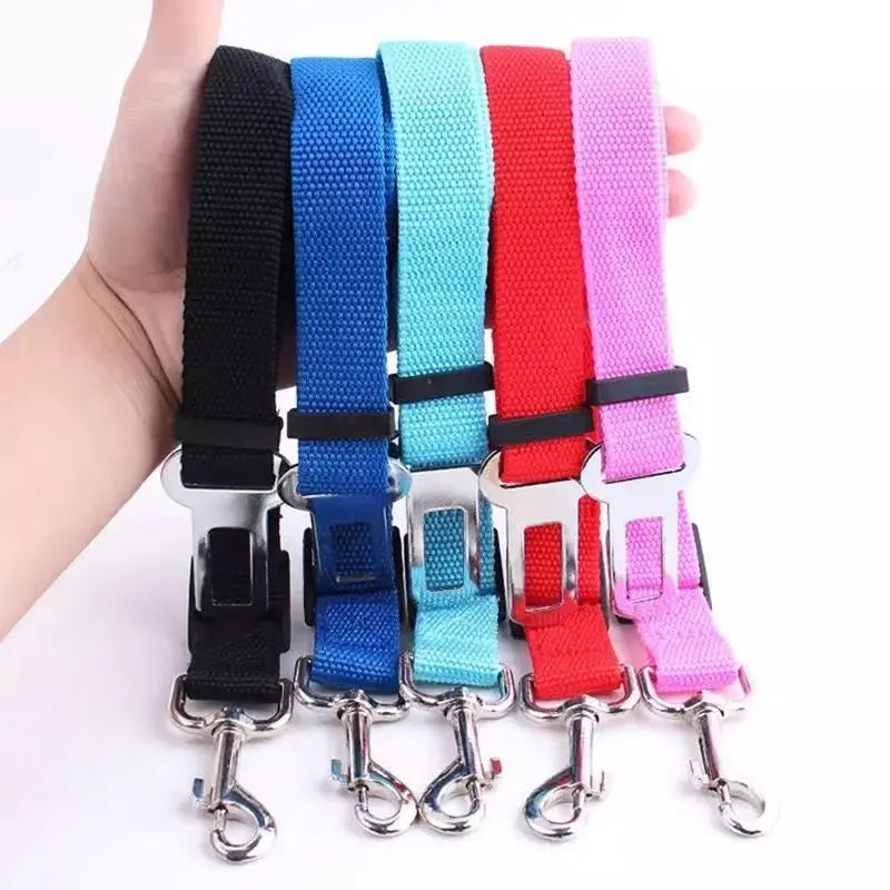 Ceinture de sécurité voiture pour chien - Confort et maintien