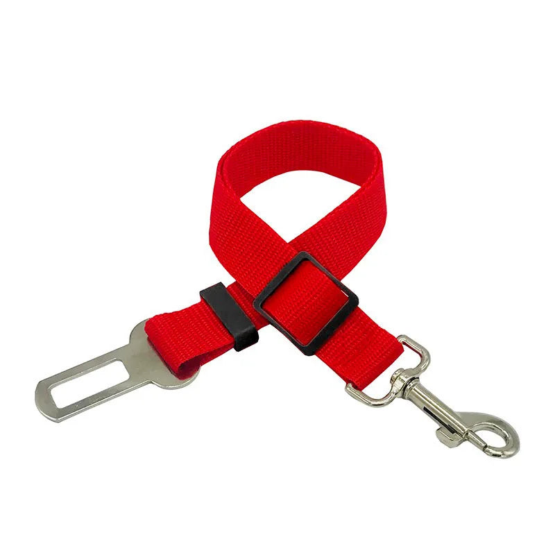 Ceinture de sécurité voiture pour chien - Confort et maintien