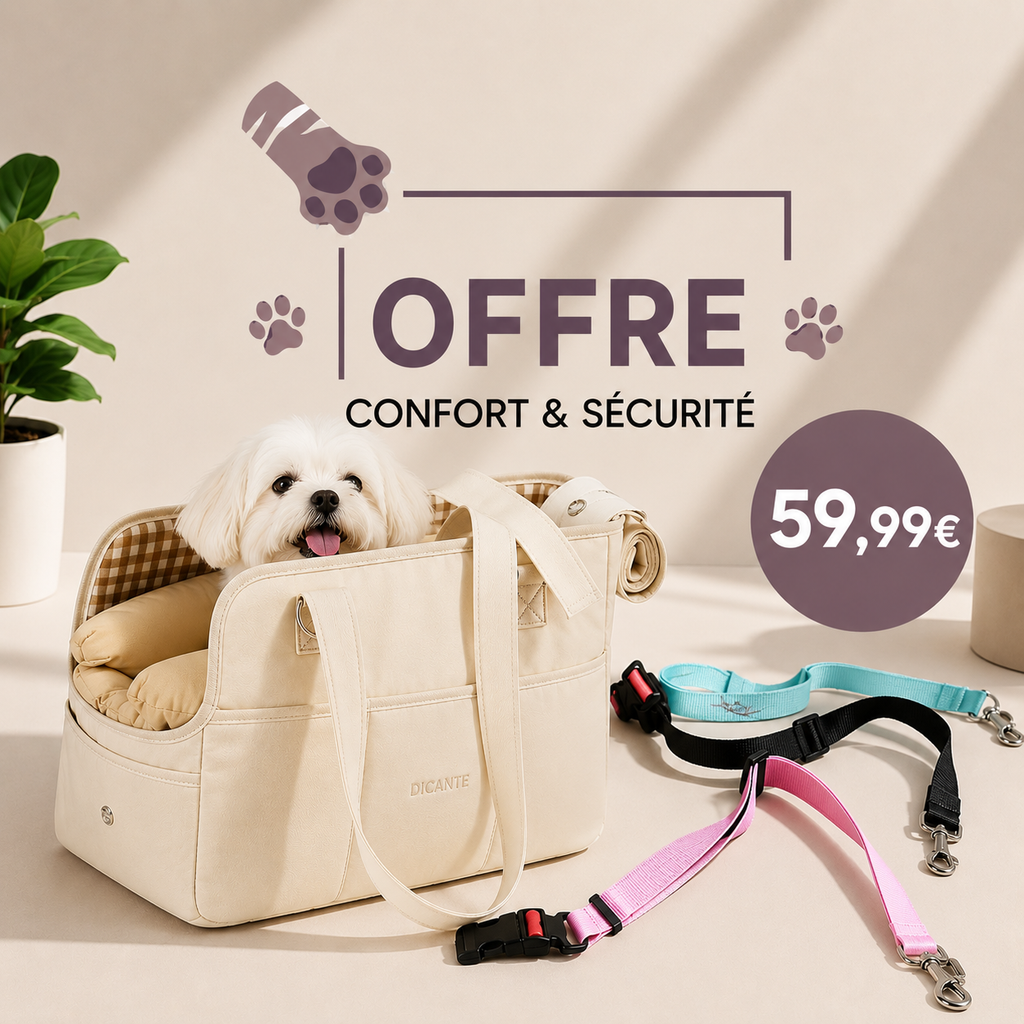 Kit de voyage
