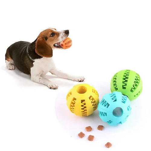 Balle Distributrice de friandises pour chien - Jeu et dentition